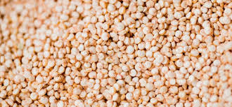 Organic Quinoa Seeds for Food