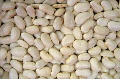White kidney beans, Shelf Life : 2-3 Years