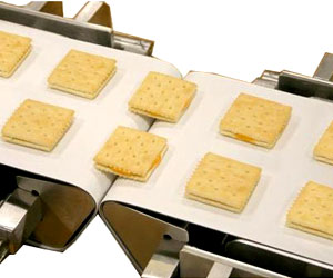 Food Grade Conveyor Belt