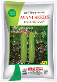 Bottle Gourd Seeds