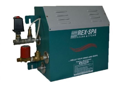 Semi Commercial Steam Generator