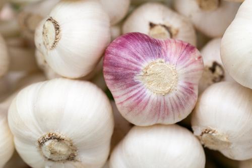 Fresh garlic, Application : Snacks, Fast Food, Cooking