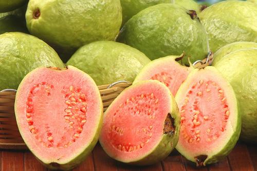 Fresh guava, Usage/Application : Human Consumption