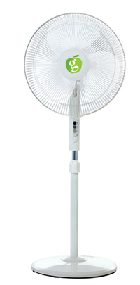 Pedestal Fans