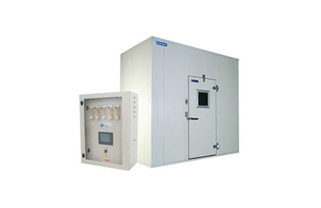 Banana Ripening Cold Rooms