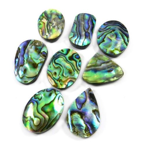 Abalone Shell Gemstone