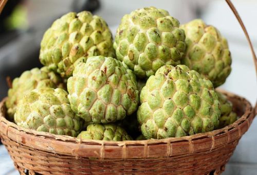 Organic Fresh Custard Apple
