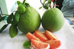 Organic Fresh Pomelo