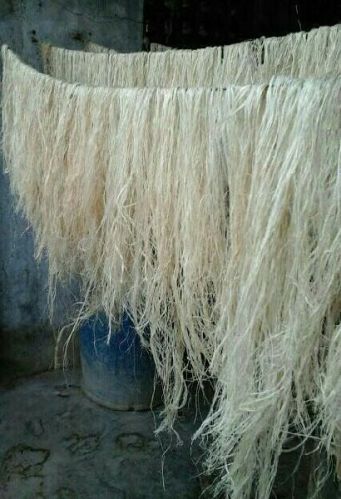 Plain Banana Fiber, Color : White