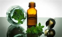 Leaves Oregano Oil