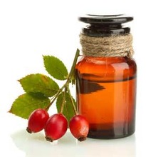 Rosehip Oil, Purity : 100 % Pure