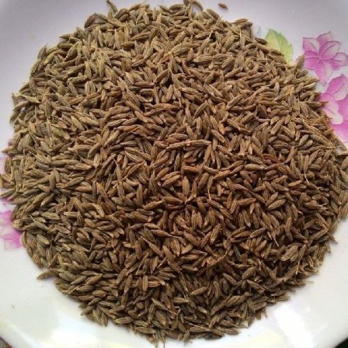Cumin seeds, Packaging Type : Black, Brown, Light Brown, Yellow