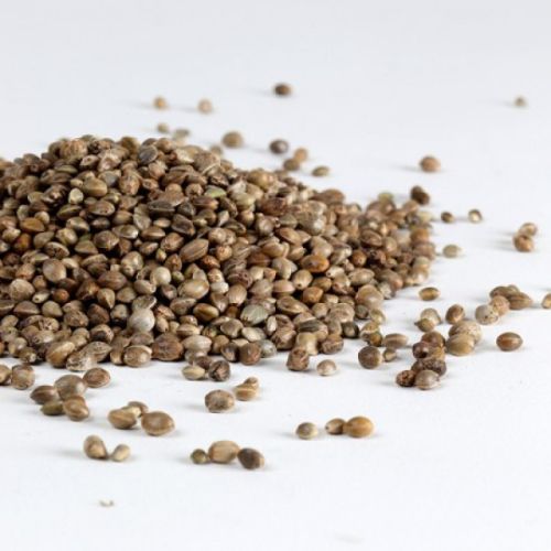 Hemp seeds, Purity : 99.999 for Food