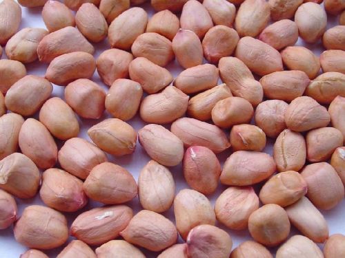 Common peanuts, Packaging Type : Brownish, Creamy, Light Red, Red