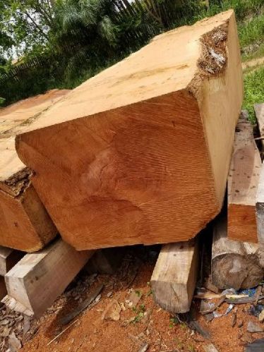 Sawn Timber, Brand Name : Tali wood