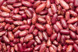 Organic Red Kidney Bean for Cooking