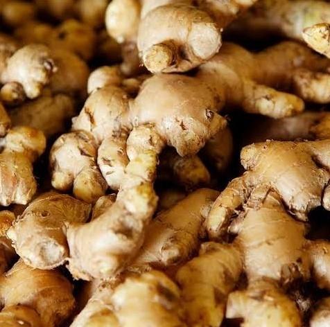 Fresh Ginger & Dry Ginger Root