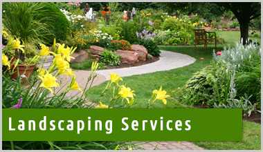 Landscaping services
