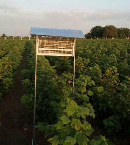 Dworld Electric 6 8 Fly Killer Machine, Voltage : 240