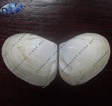 100% Natural Material (marble River China Shell Stone