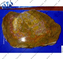 100% Natural Material (marble Yellow Petrified Wood Stone