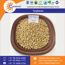 Soya Bean, Style : Fresh