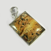 Picture Jasper Pendant