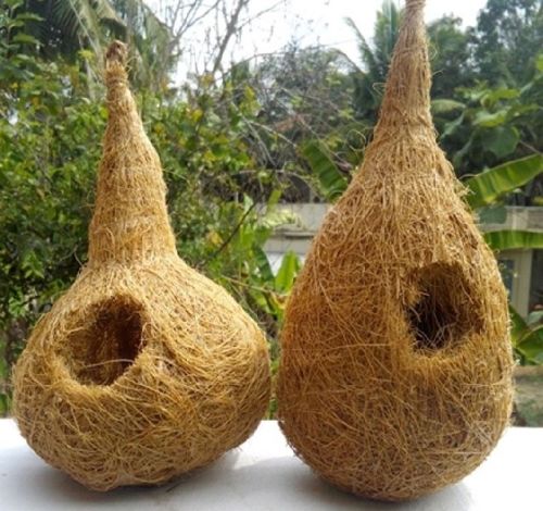 Bird Nest, Feature : Eco-Friendly