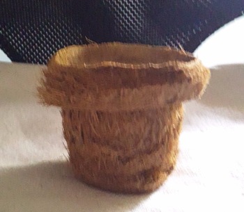 Coco Fiber Pots