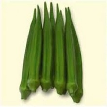 Buyer's Brand Green Okra, Certification : Apeda