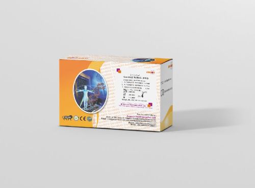 Plastic Widal (OH) Test, For Clinical, Hospital, Certification : CE Certified, ISO Certified