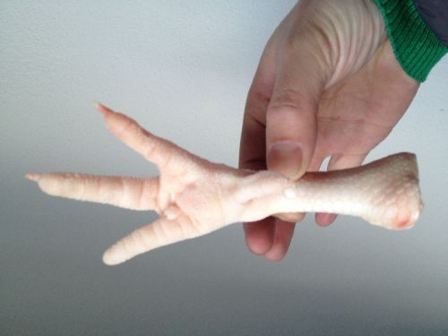 Frozen chicken feet, Certification : ISO-9001: 2008