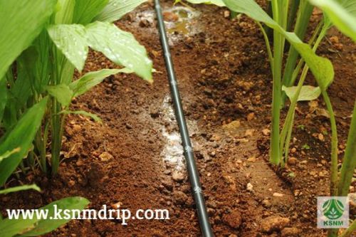 KSNM Virgin Poly Ethylene Drip Irrigation System., For Agriculture, Length : 1000 Meters