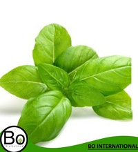 Basil Organic Essential Oil, Certification : CE, EEC, FDA, GMP, MSDS, SGS