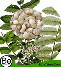 Bo International Frankincense Essential Oil, Feature : Nourishing