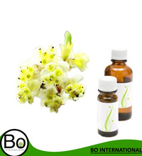 Litsea Cubeba Organic Essential Oil