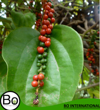 Bo International Berries Pepper White Essential Oil, Supply Type : OEM/ODM