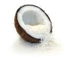 Common Desiccated Coconut Powder