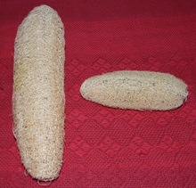 Loofah Scrub, Size : Mini, Average, Large