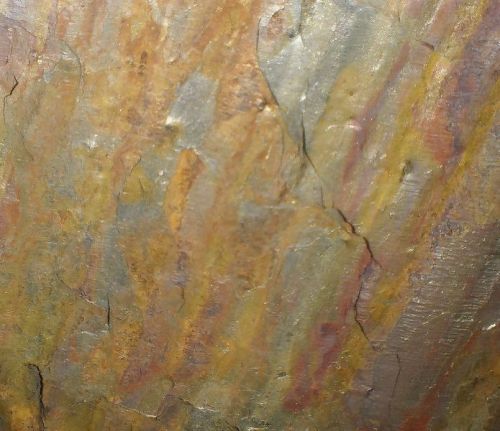 Forest Fire Slate Stone, Color : Yellowish