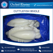 Cuttlefish Seafood, Shelf Life : 2 Years