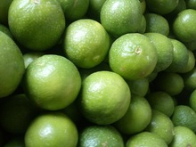 Chistiya Round Fresh Green Lemon, Grade : A