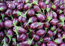 Fresh Brinjal, Color : Violet