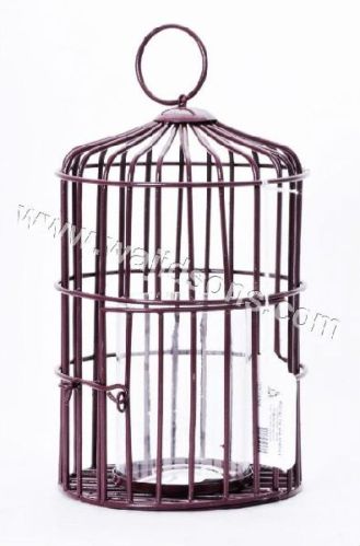 Iron Bird Cage