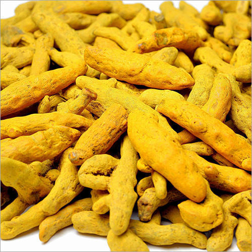 Natural Polished Turmeric Finger, Packaging Type : Gunny Bag PP Bag