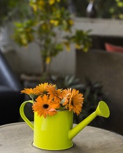 Store Indya Iron Watering Can, Feature : Functional