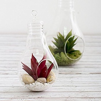 Customized Shape Glass Terrariums, For Home Decoration