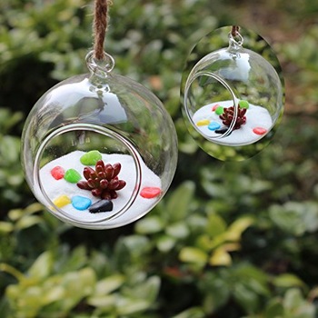 Hanging Glass Terrarium