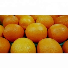 Common Orange, Certification : ISO