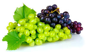 Common Fresh Grapes, For Human Consumption, Certification : GAP Certified